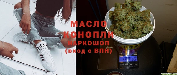 гидра Зеленодольск