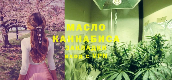 гидра Зеленодольск