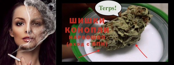 гидра Зеленодольск