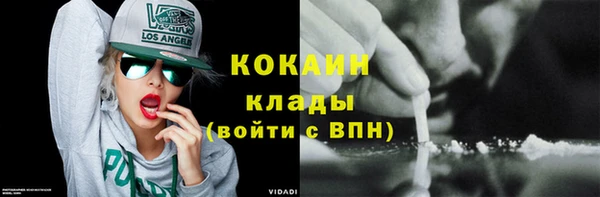 гидра Зеленодольск