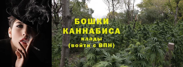 гидра Зеленодольск