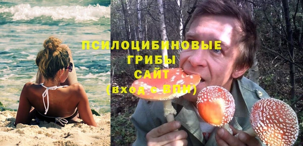 гидра Зеленодольск