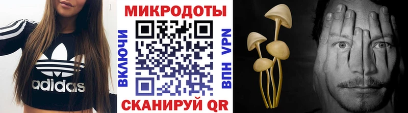 Купить где  Гороховец  Галлюциногенные грибы прущие грибы 
